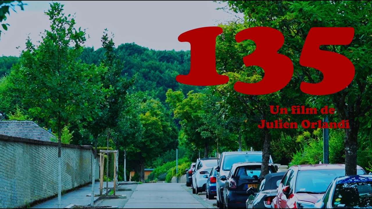 135 - Julien Orlandi - Essai filmique