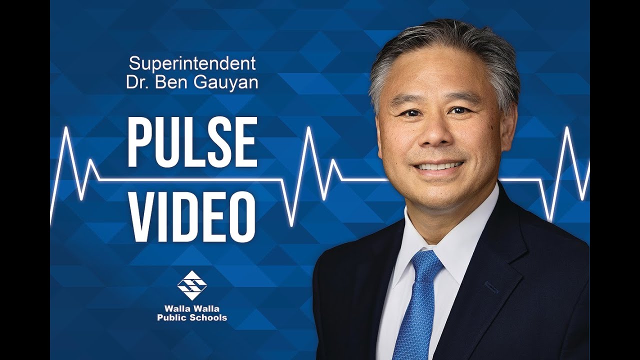 Pulse Video November 2025
