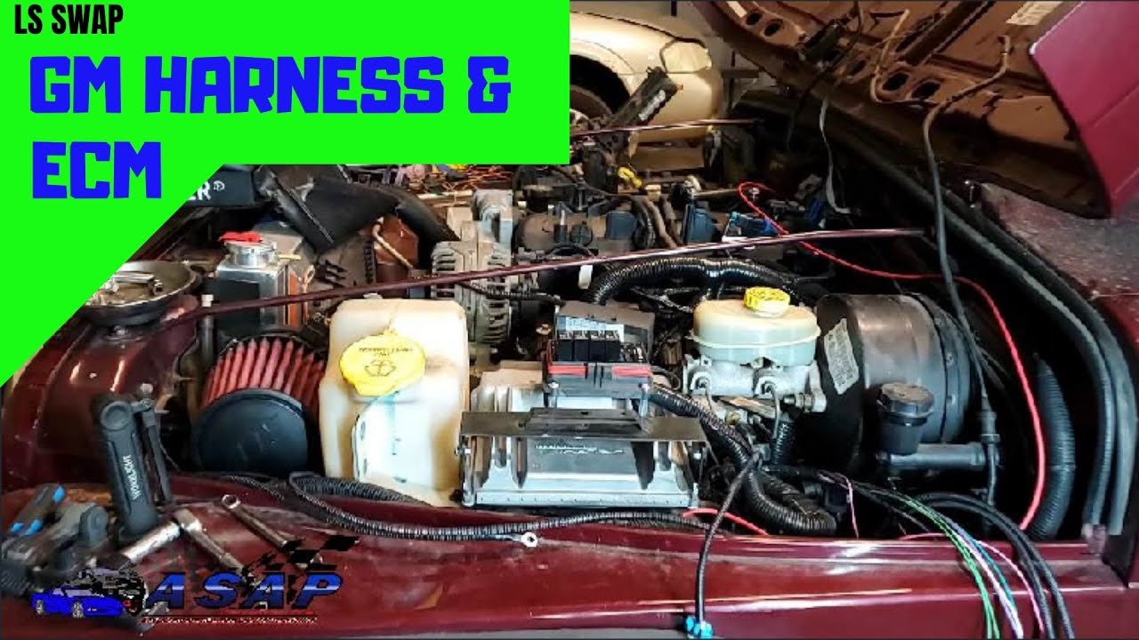 LS TJ WIRING Part 1