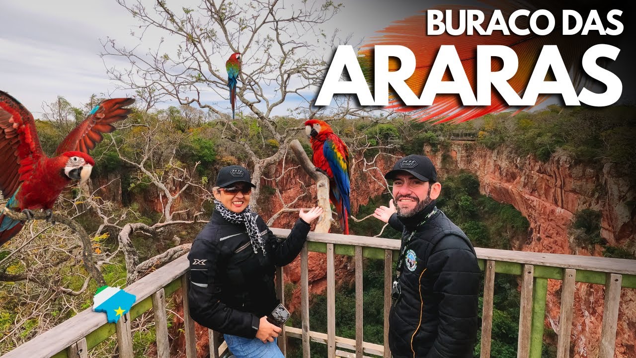 Um ref&uacute;gio de araras-vermelhas em Jardim MS | Canal FM Adventure