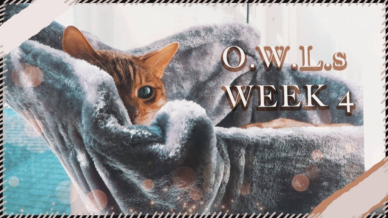 O.W.L.s Week 4: completing Astronomy & divination exams | Book Roast [CC]