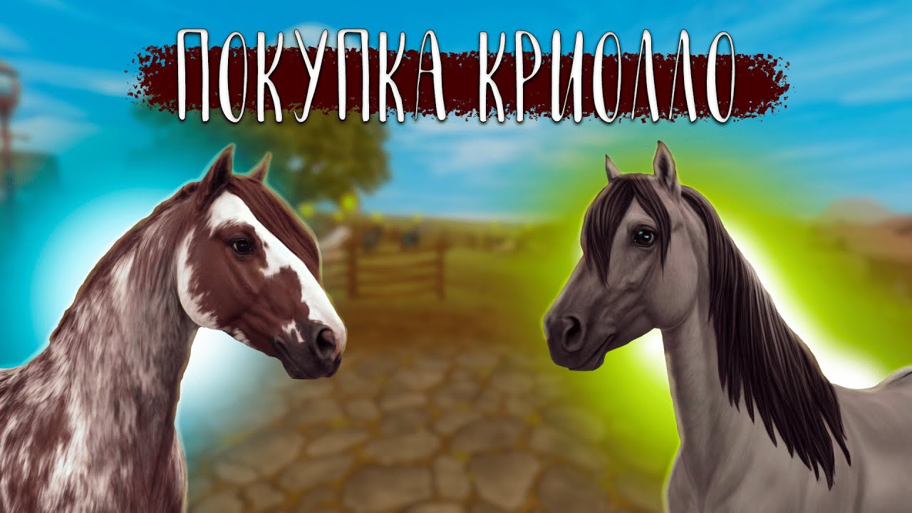 АРГЕНТИНСКАЯ КРОВЬ | ПОКУПКА ЛОШАДИ STAR STABLE