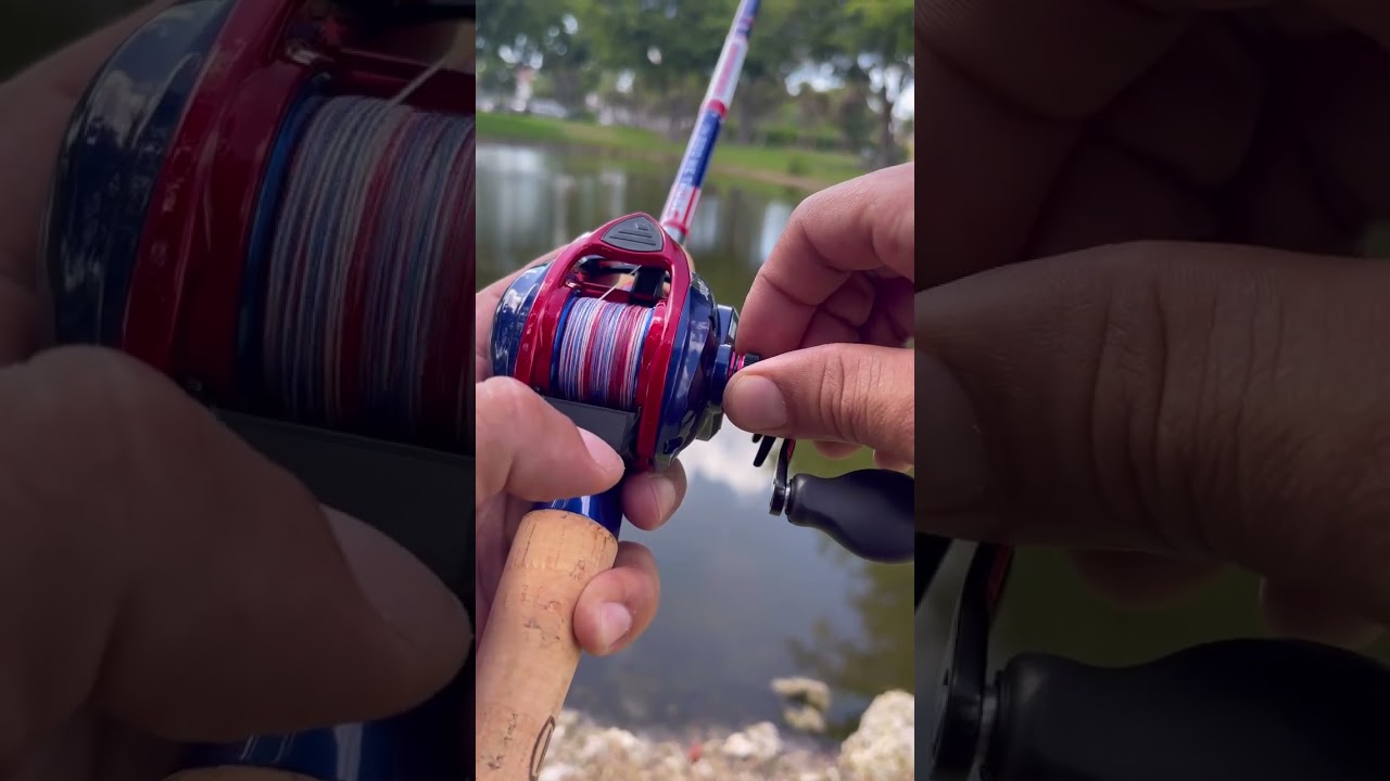 cara stel reel bc aga ga becklis #shorts #fishing #mancing #mancingmantap