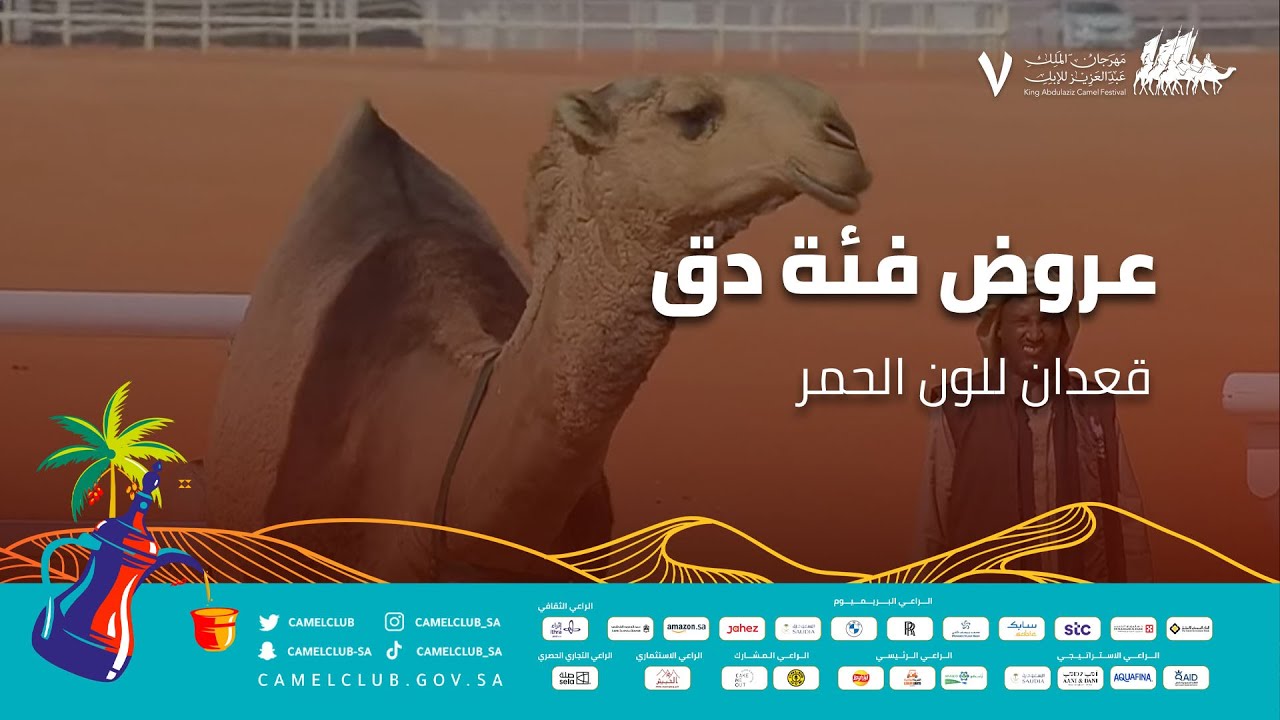 عروض فئة دق  - قعدان للون الحمر