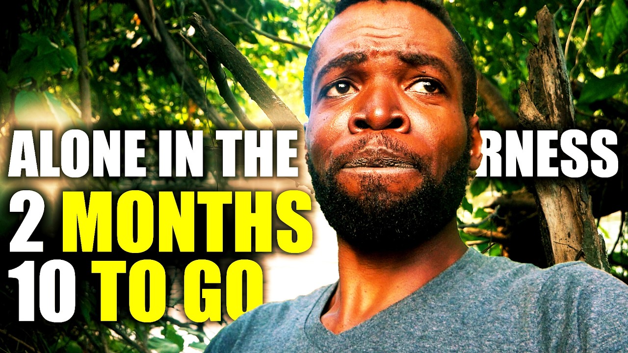 Living ALONE in the WILDERNESS of Jamaica: UPDATE