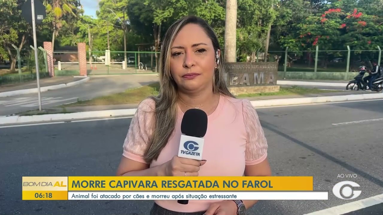 Capivara resgatada após ataque de cães no Farol morre em Maceió - 11/03/2026