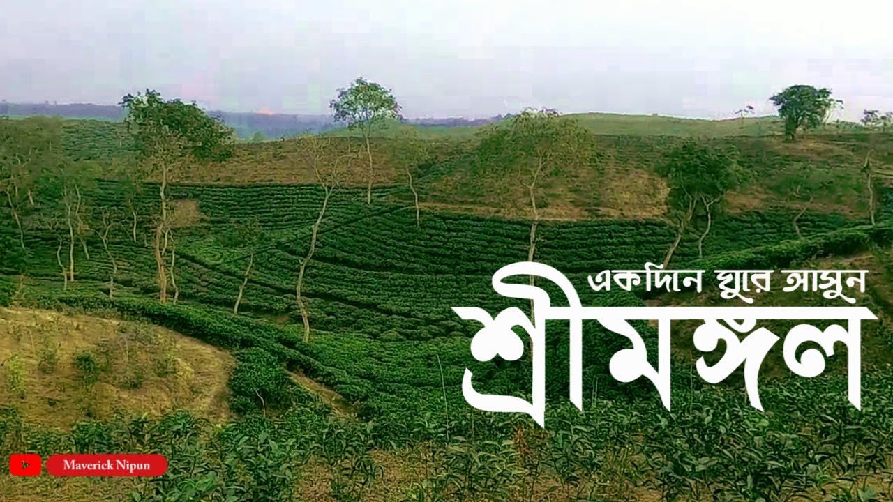 এক দিনে শ্রীমঙ্গল ভ্রমণ-Day Tour to Sreemangal