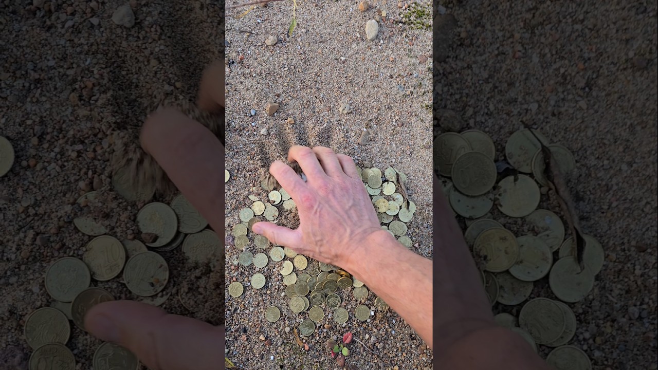 Mega lucky finding in 2024