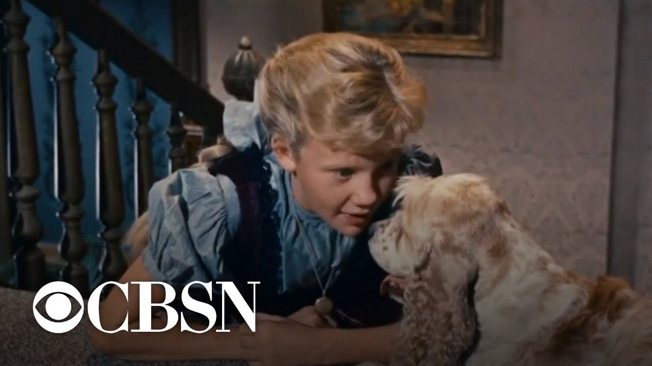 Recounting the life of Hayley Mills, actress well known as star of film 