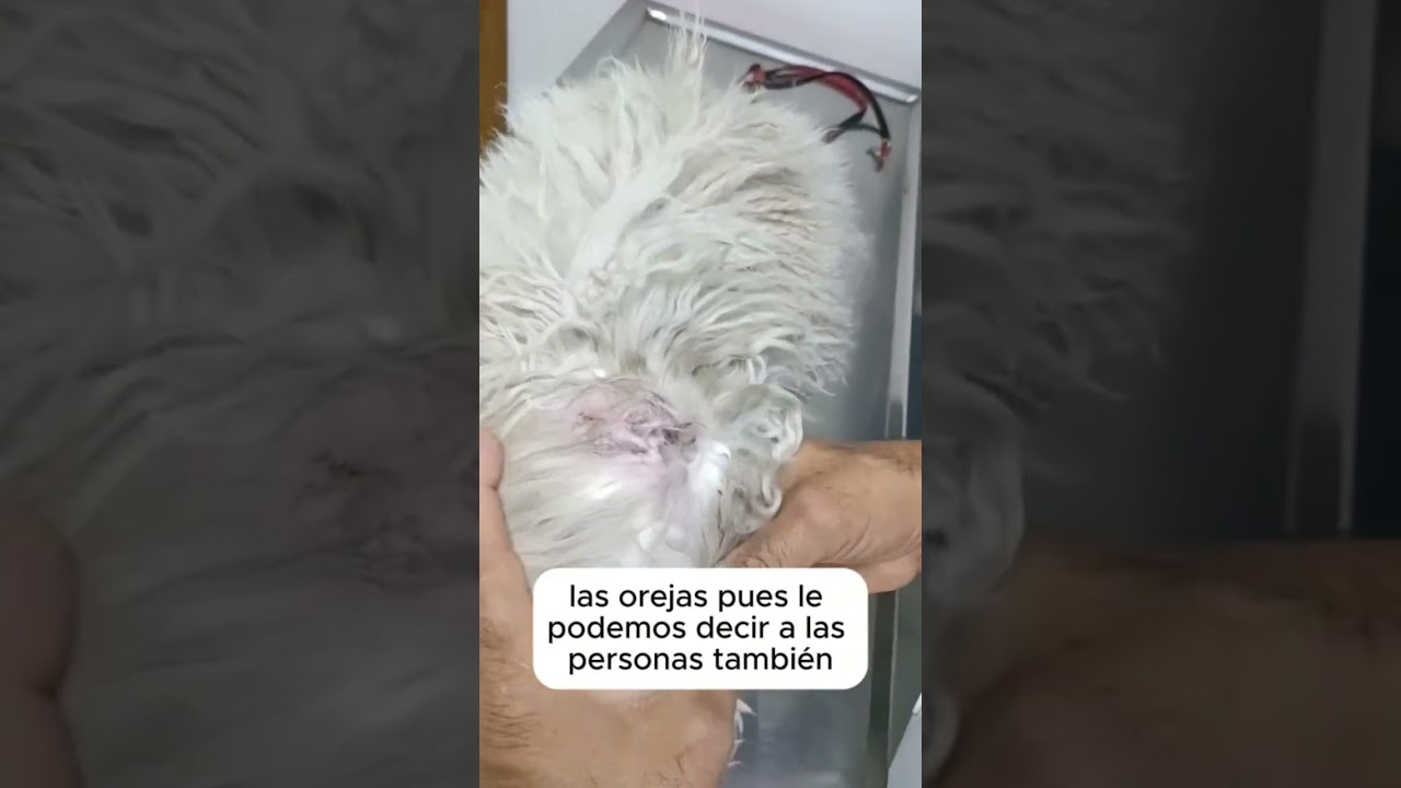 14 de agosto de 2025