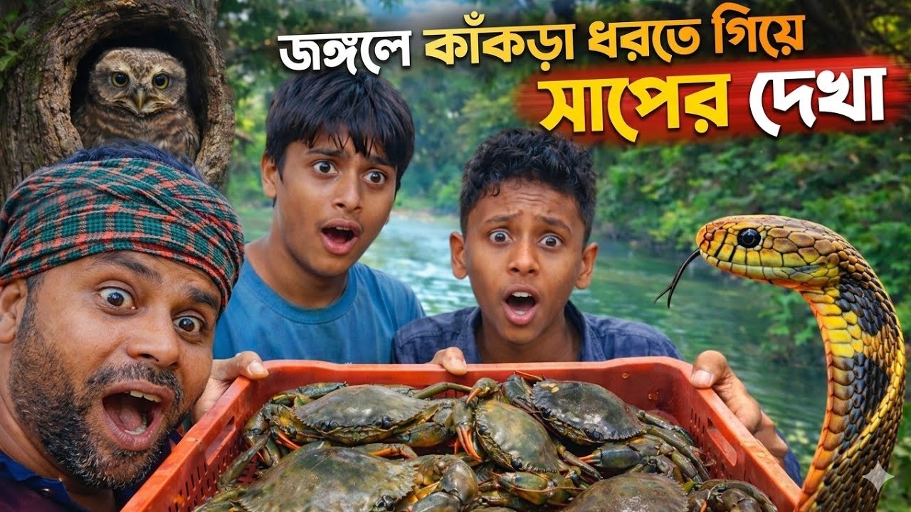 সুন্দরবন জঙ্গলে দন দিয়ে কাঁকড়া ধরতে গিয়ে সাপের মুখোমুখি! 🐍🦀 #Sundarban