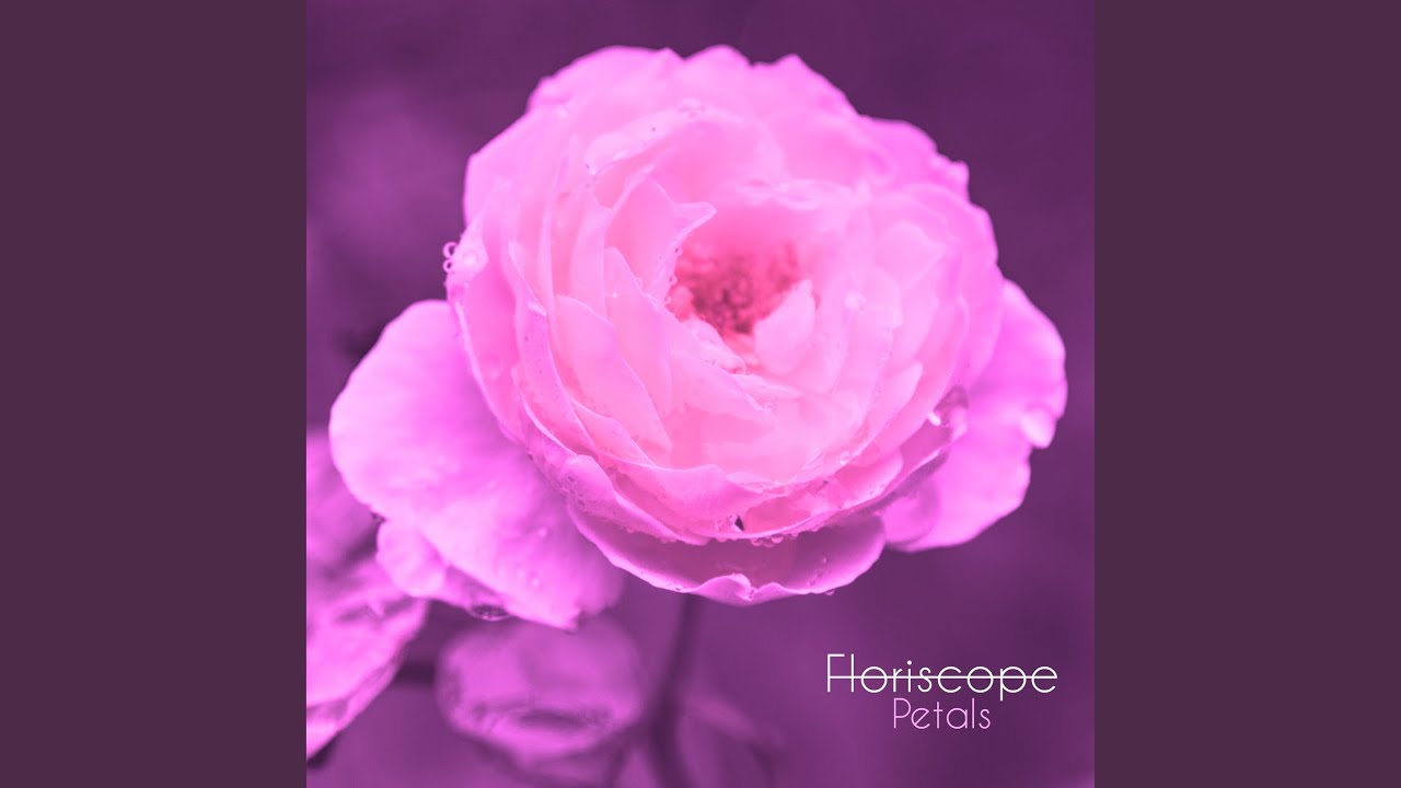 Petals