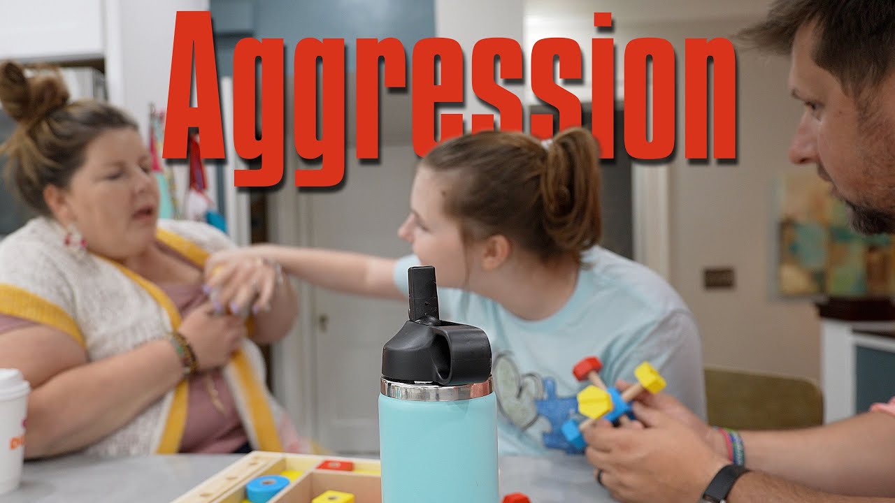 Aggression For Attention