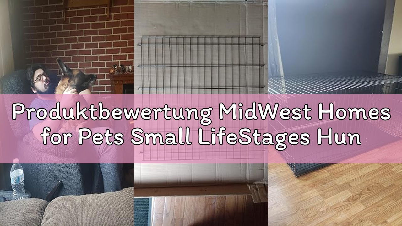 Produktbewertung MidWest Homes for Pets Small LifeStages Hundebox mit 2 Türen, klein, zusammenklappb