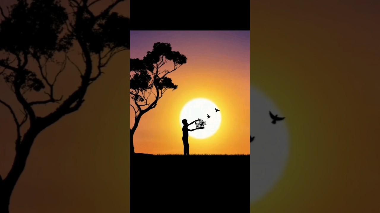 Sunset Photo Editing | 👍 Perfect Photo Ideas #shorts #photoediting  #tutorial
