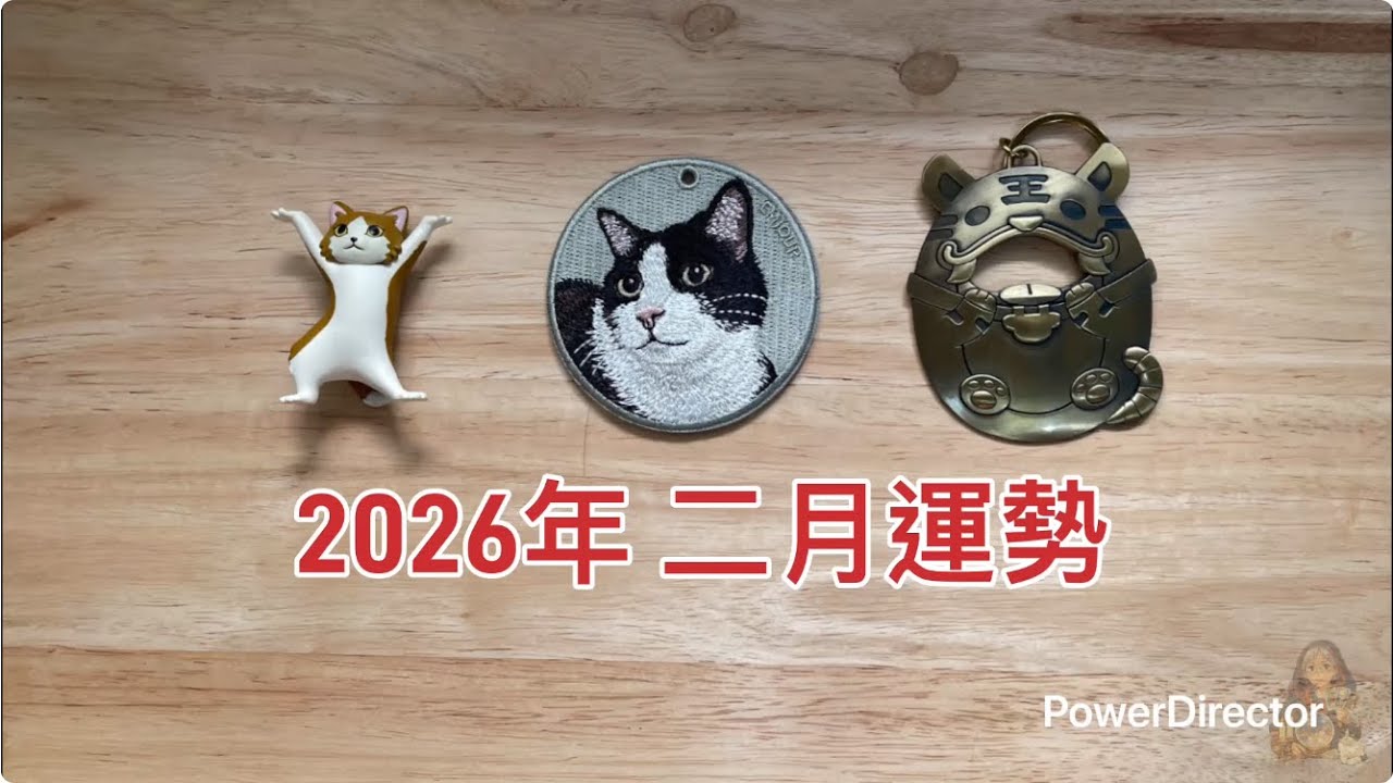 《2026年二月運勢》 塔羅占卜/大眾占卜/事業/學業/人際/感情