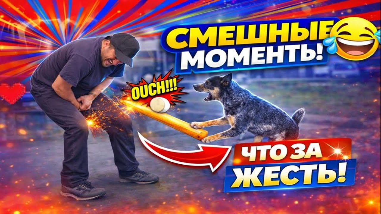 99% ЛЮДЕЙ НЕ СМОГУТ СДЕРЖАТЬСЯ! 😂 СМОТРИМ СМЕШНЫ ВИДЕО!