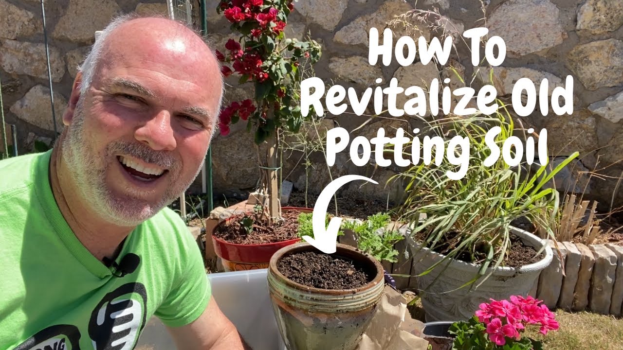 DIY Potting Soil Recipe | Easy & Cost-Effective!