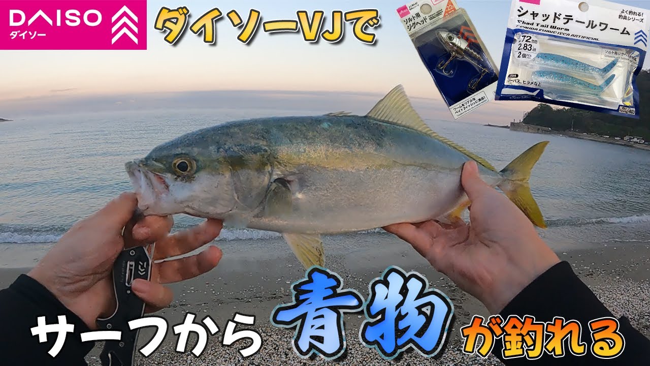 100均ルアー【ダイソーVJ】サーフで青物が釣れた！