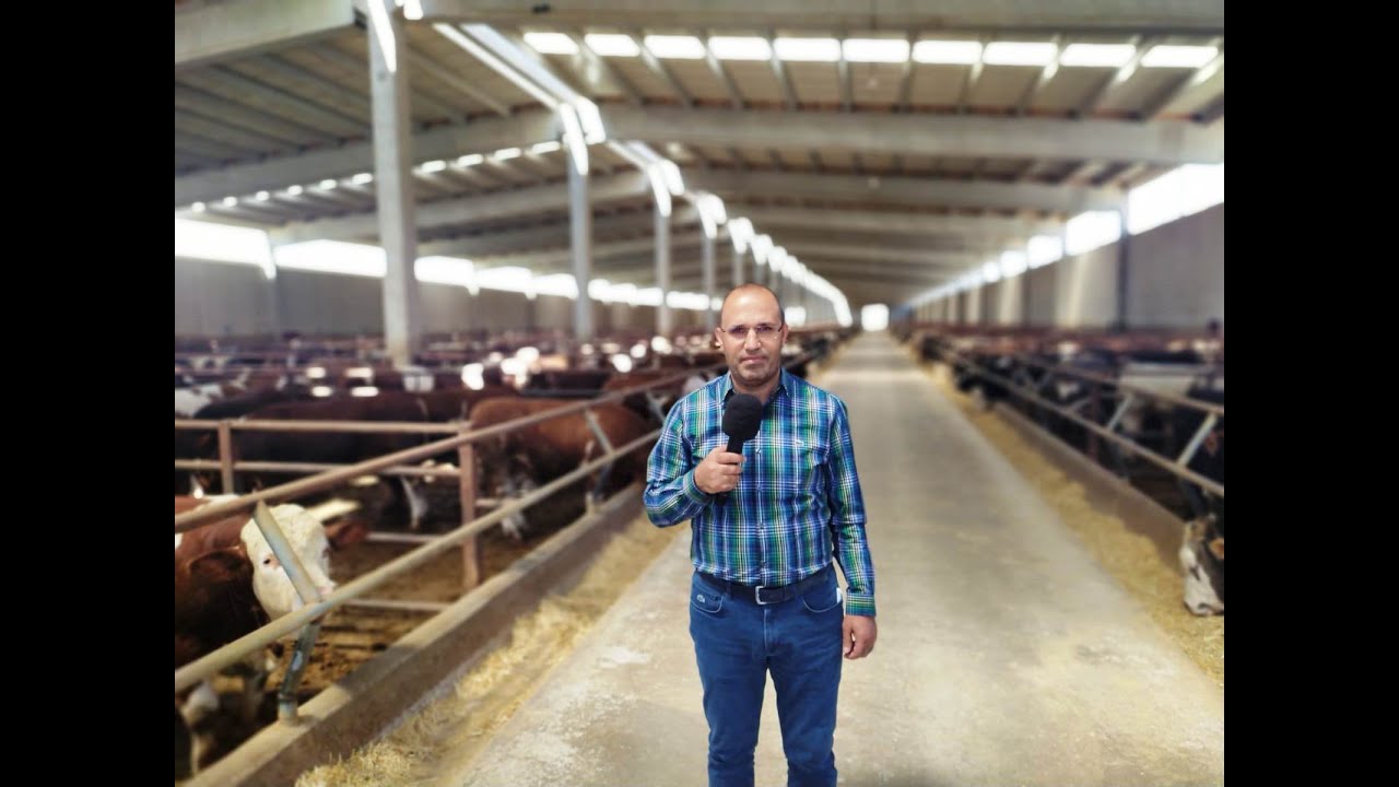 HAYVANCILIĞIN PARLAYAN YILDIZI 