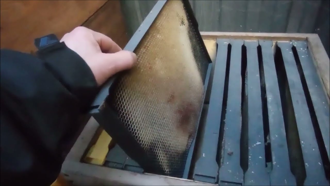 Plastové rámky do včelího úlu.
