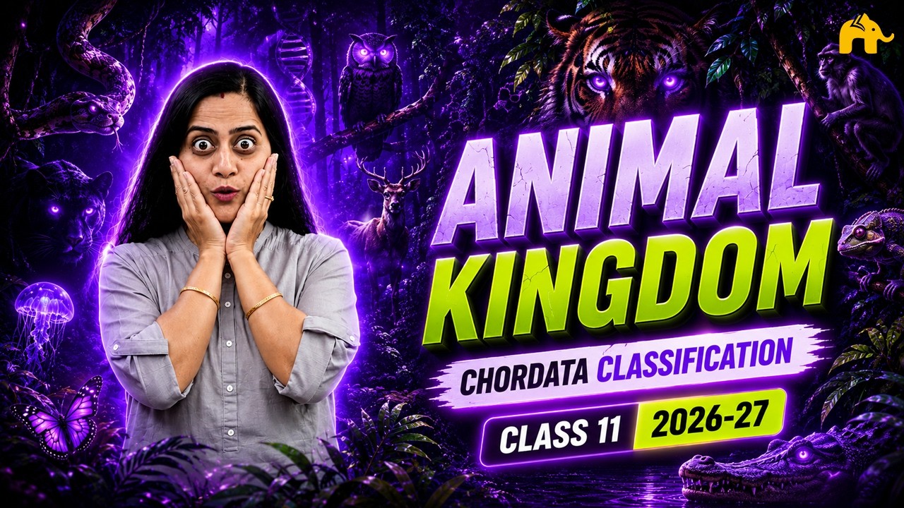 Animal Kingdom Class 11 Biology NCERT Chapter 4 #2|   CBSE NEET  | Chordata Sub- classification