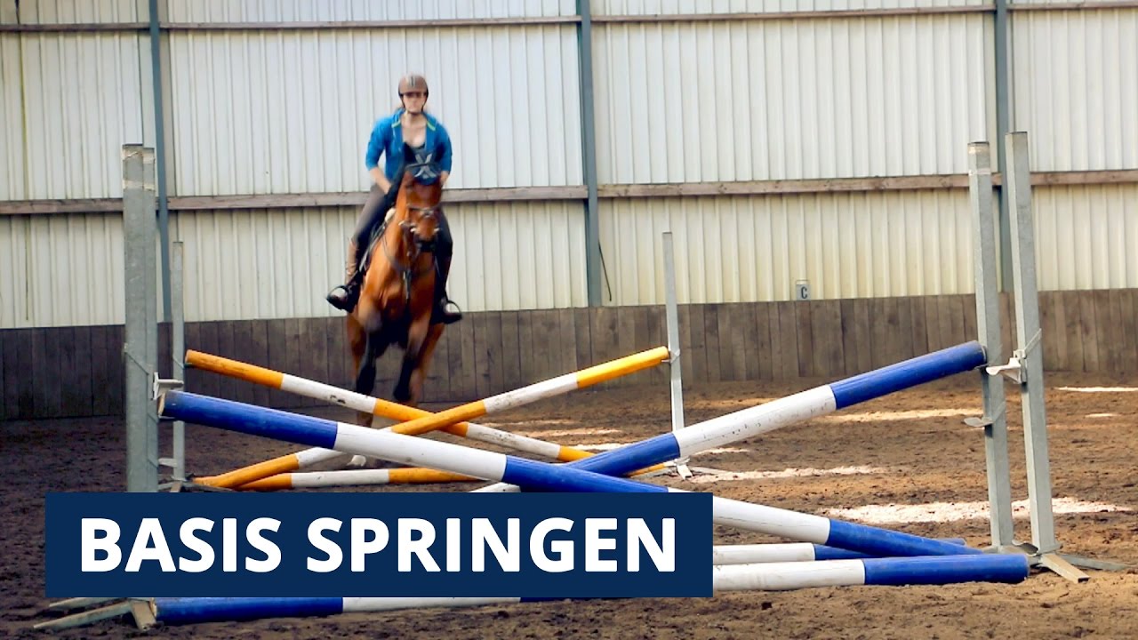 SPRINGEN ► Leer de basis van springen met je paard!