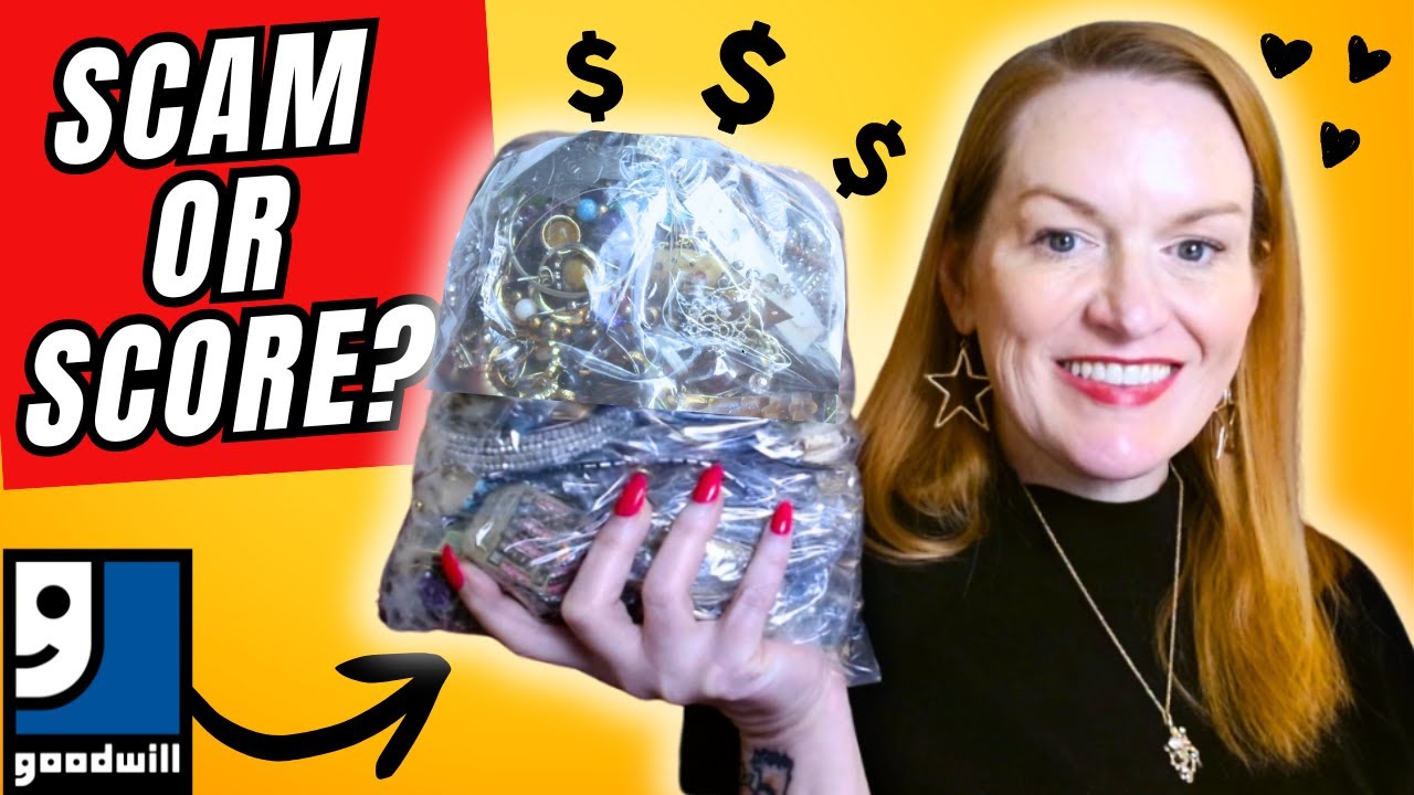 I Bought a $65 Goodwill Jewelry Bag – Scam or Score?