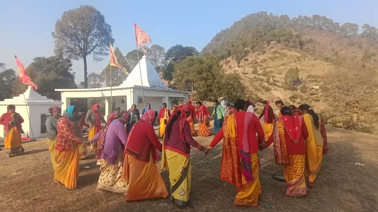 नयी डाली पैंया जामी