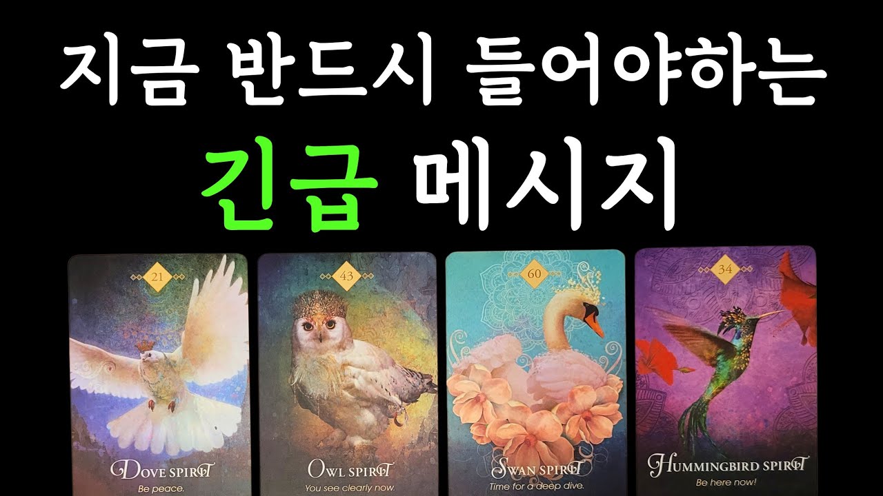 ☆*｡타로･ﾟ✧🌟지금 반드시 들어야하는 긴급메시지