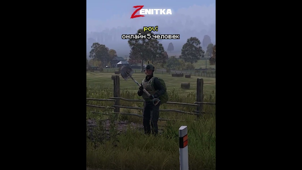 Онлайн DayZ #dayz #clips #shorts #игры