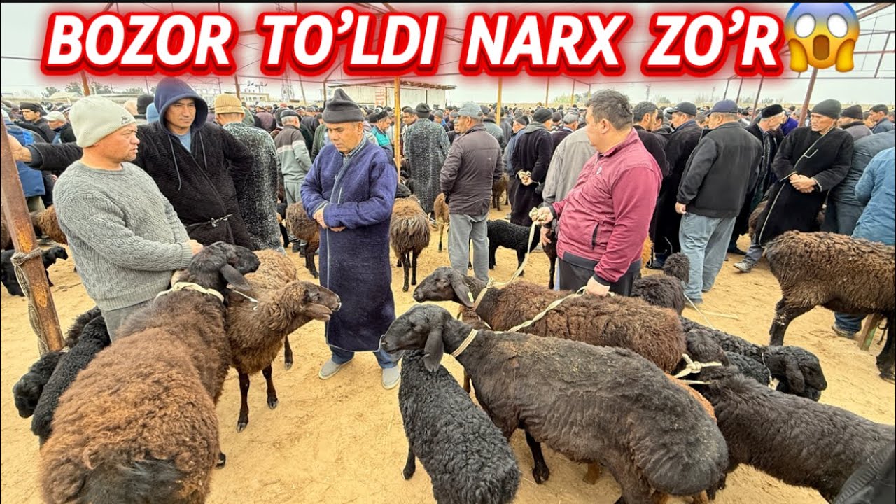 KAYAKDI PAYSHANBA BOZORI 19.03.2026y