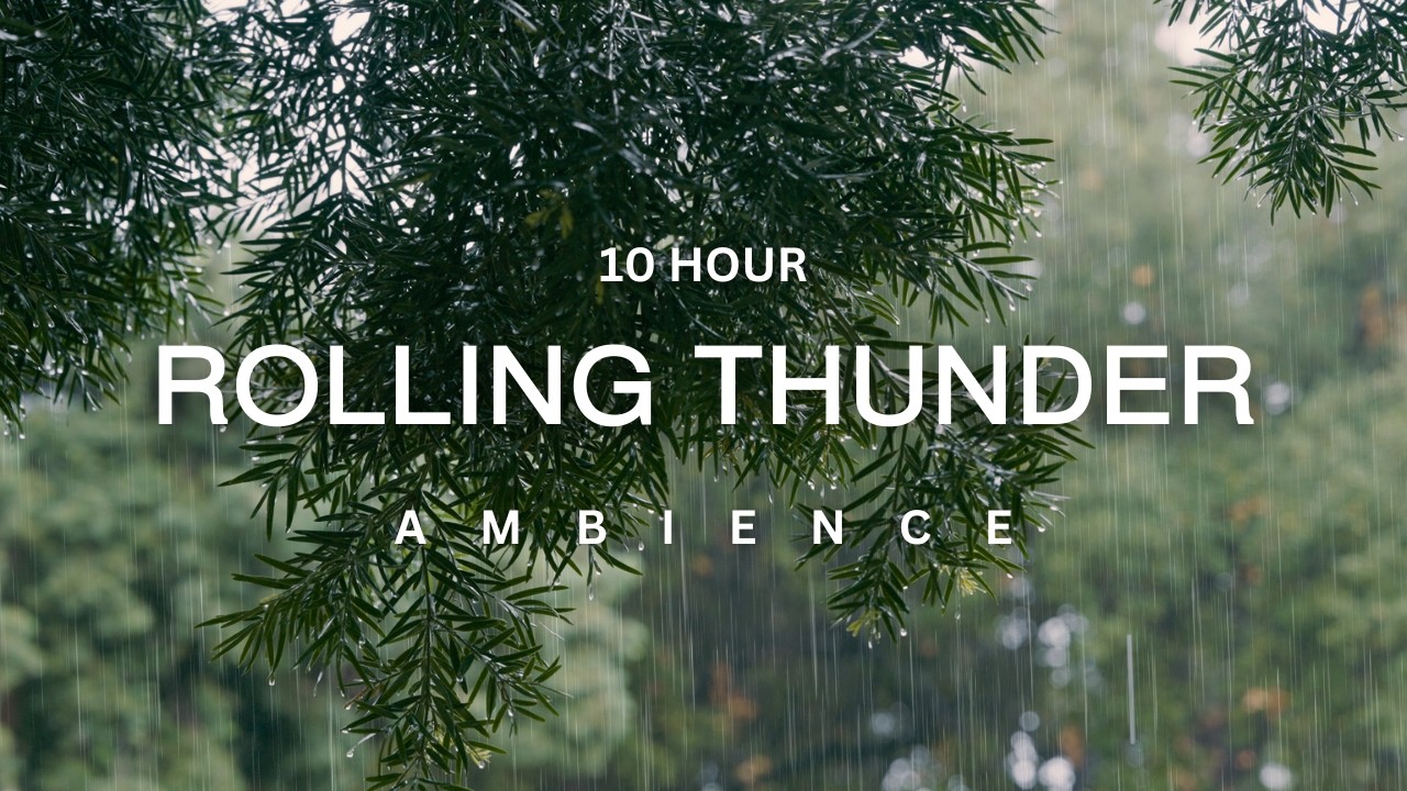 10 Hour ✨ Soothing Storm Sounds ✨ Relaxing Rain & Thunder Ambience for Deep Sleep | Meditation