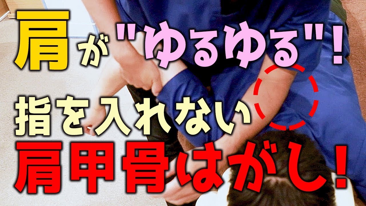 肩が
