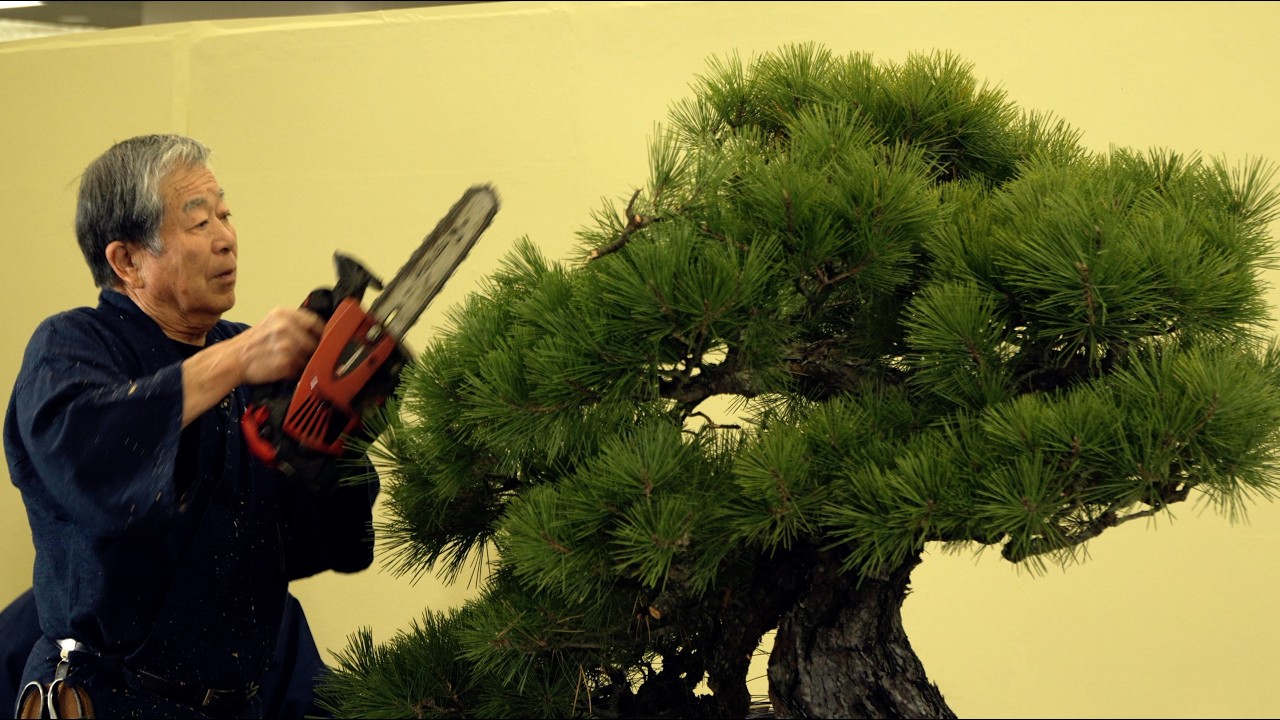 Kunio Kobayashi Bonsai demonstration Taikanten