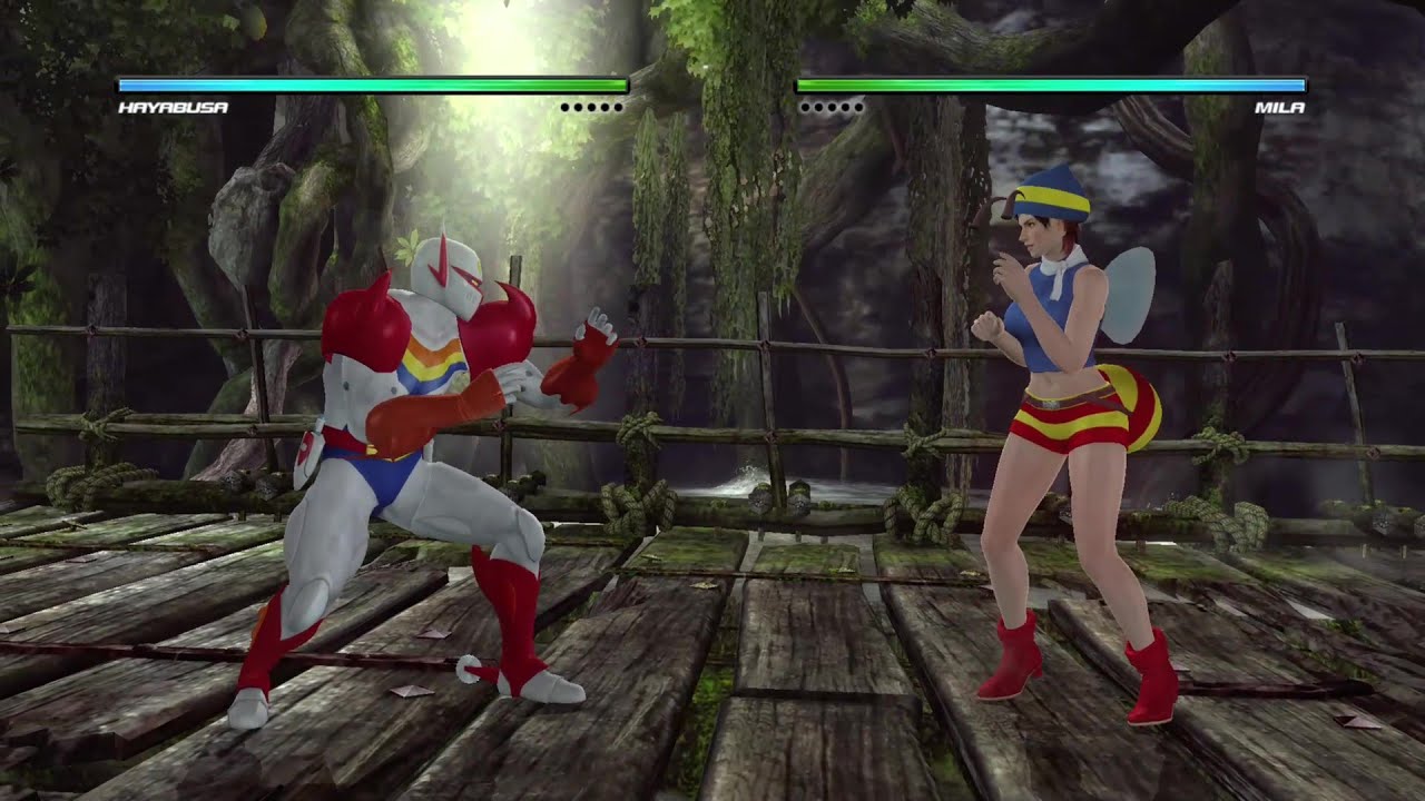 DEAD OR ALIVE 5 - Hayabusa VS Mila