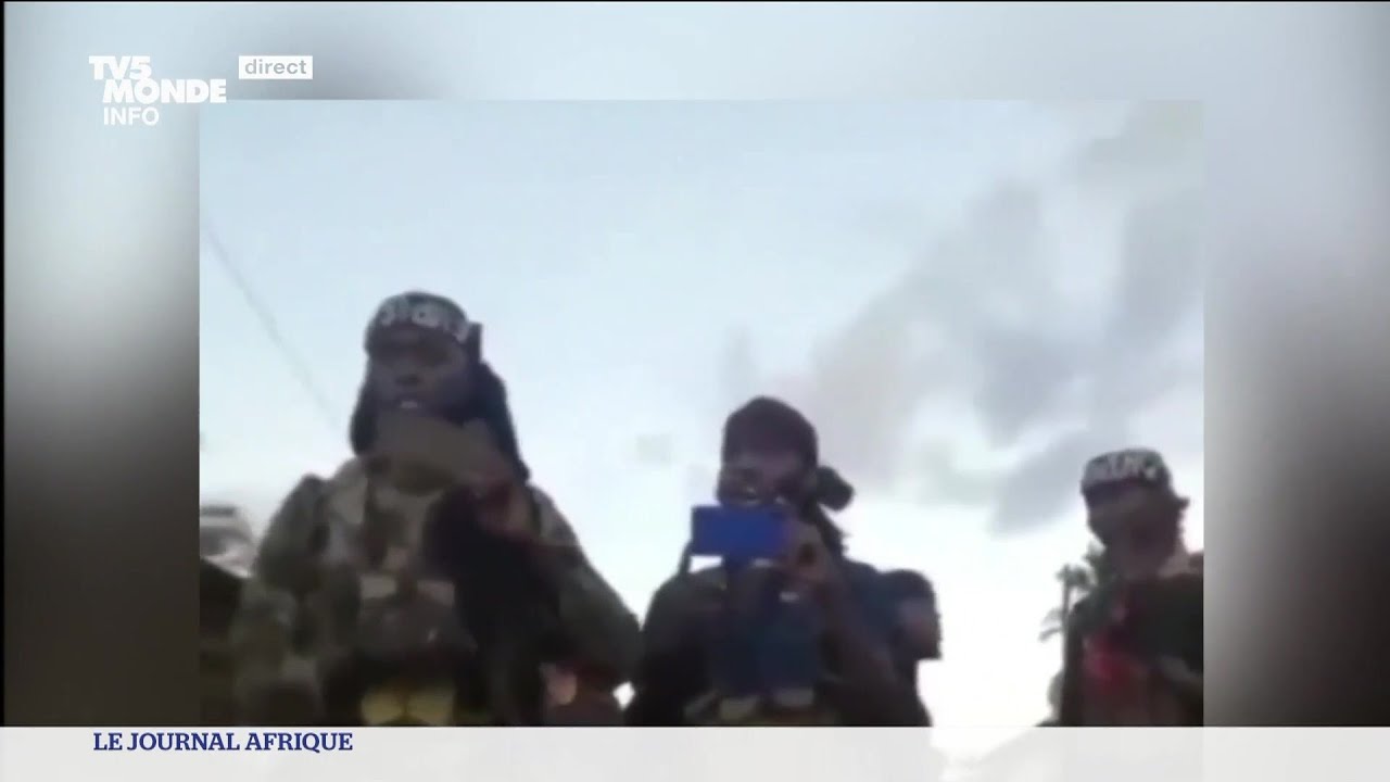 Mozambique : qui sont les terroristes qui menacent le nord ?