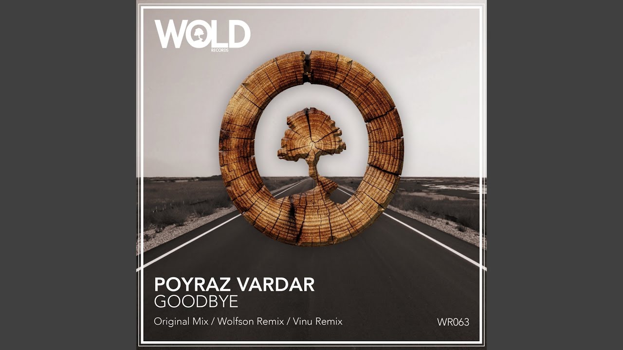 Goodbye (WOLFSON Remix)