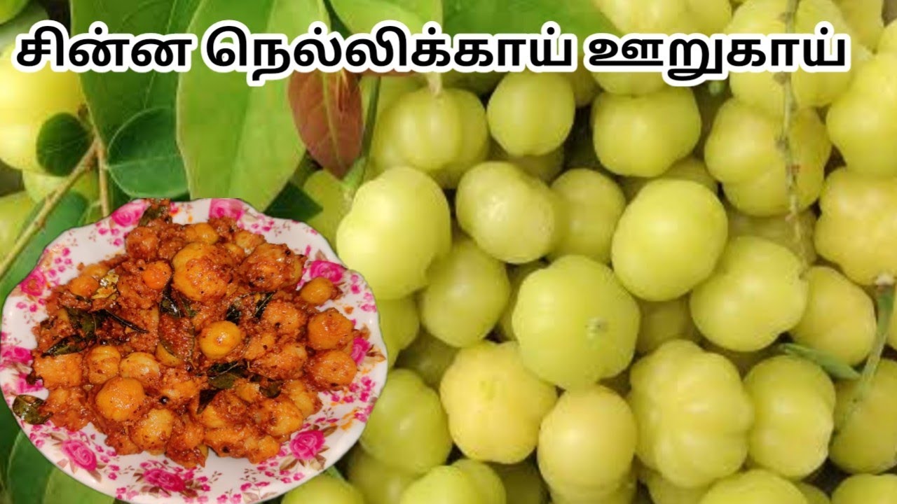 Gooseberry Pickle Recipe in Tamil | நெல்லிக்காய் ஊறுகாய் |சின்ன நெல்லிக்காய் ஊறுகாய்  செய்வது எப்படி