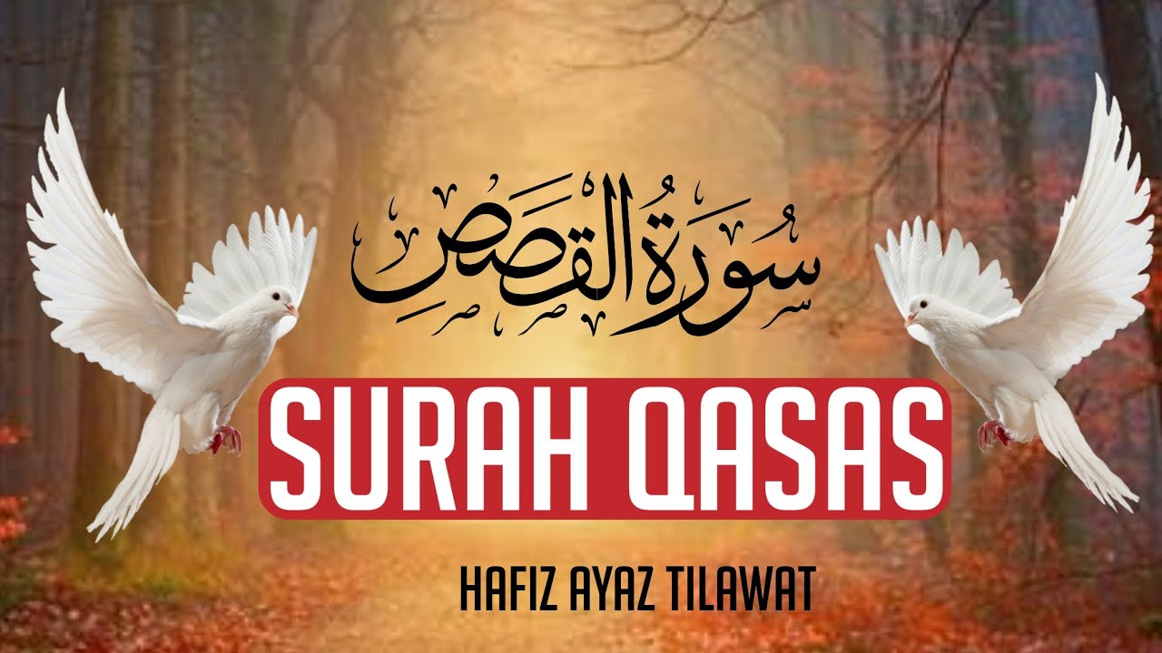 Surah Al-Qasas | سورة القصص | Beautiful Recitation #tilawat #quranictranslation #qurantilawat