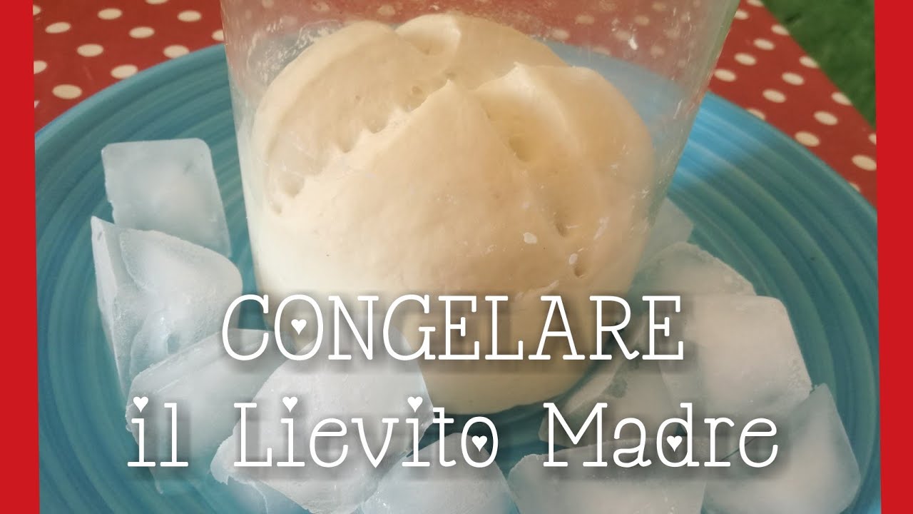 CONGELARE il Lievito Madre