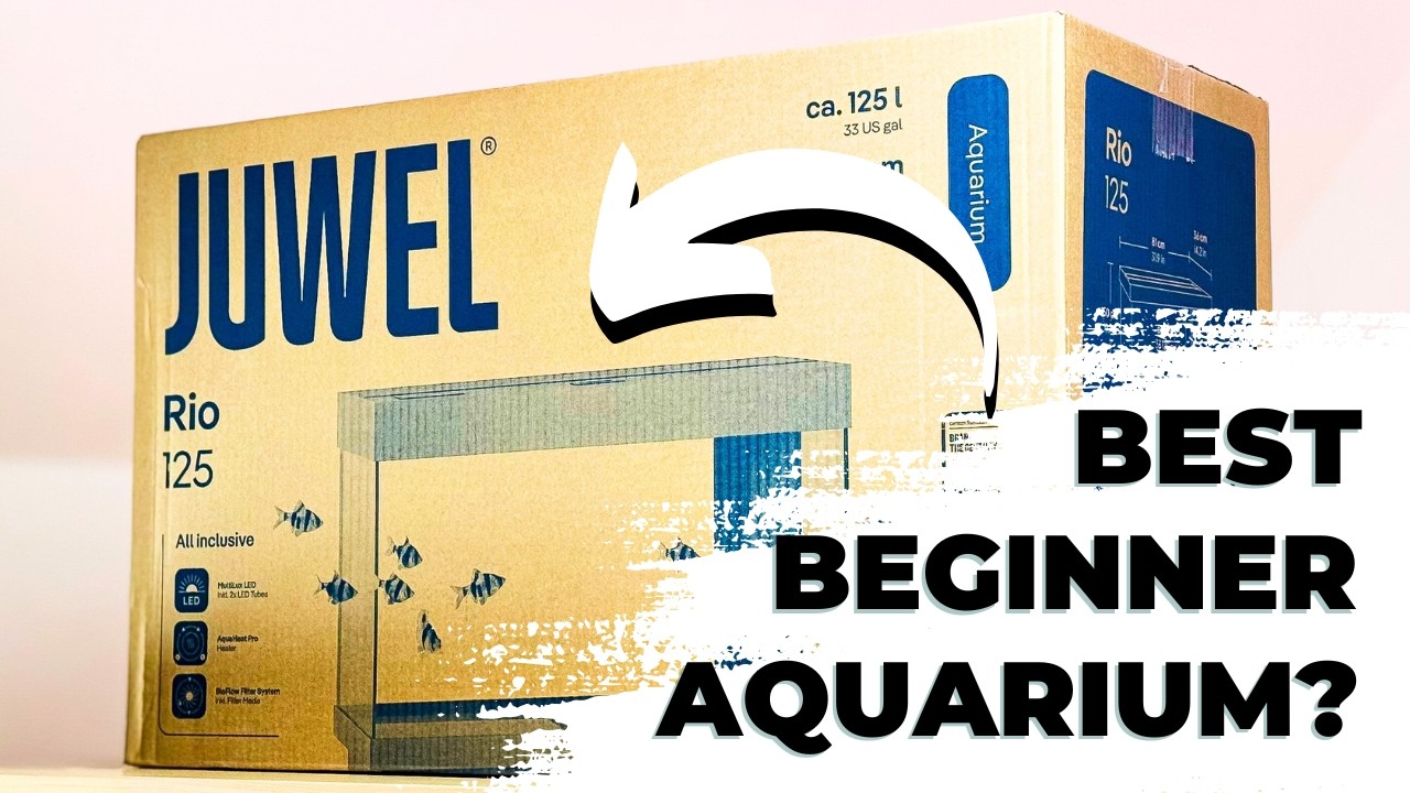 Juwel Rio 125 Aquarium Unboxing | The Best Beginner Tank?