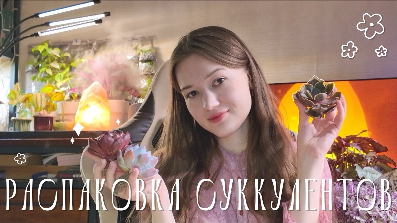 ✨РАСПАКОВКА СУККУЛЕНТОВ #2✨