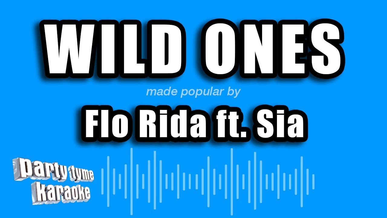 Flo Rida ft. Sia - Wild Ones (Karaoke Version)