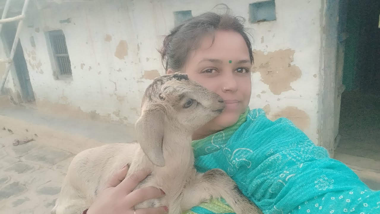 जुड़ जाइए हमारी लाइव स्ट्रीम पर सभी लोग 🤗❤️