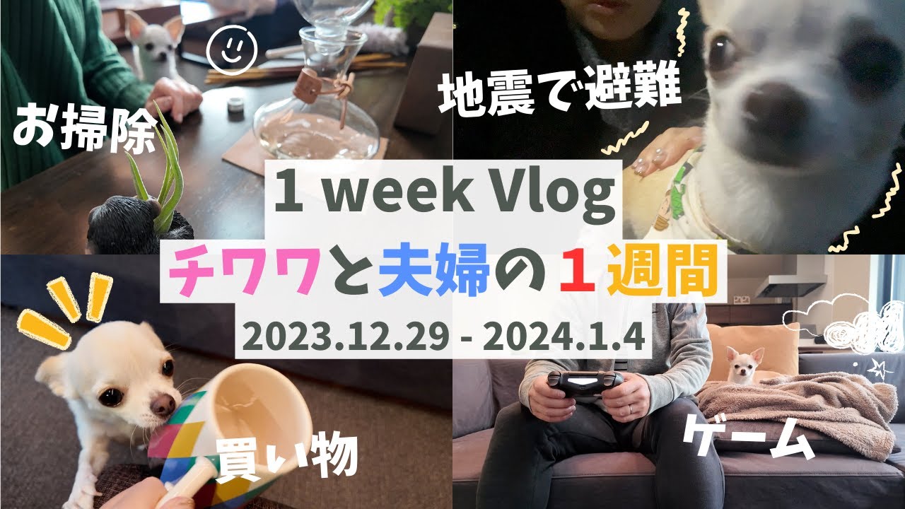 【１週間vlog】チワワと40代夫婦の年末年始に密着　// ゲーム・買い物・料理・掃除・カウントダウン