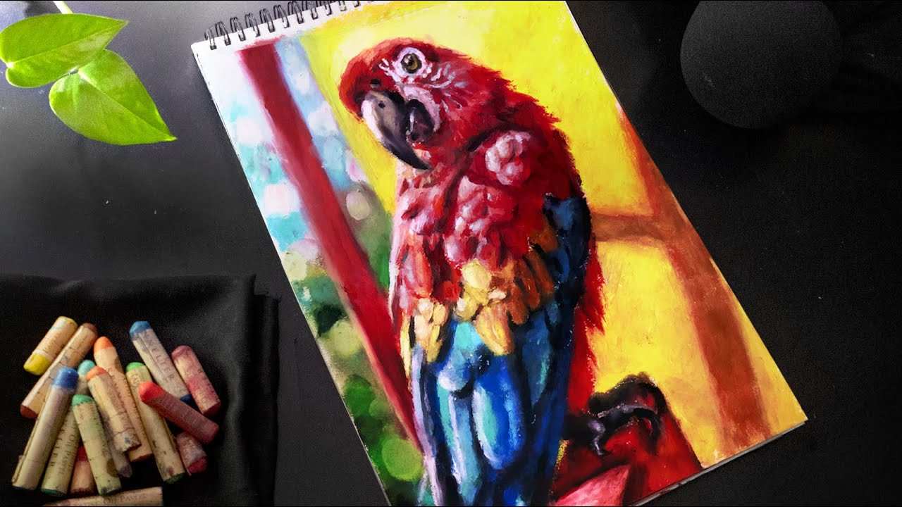 ASMR Drawing a Parrot with Pastels - No Talking