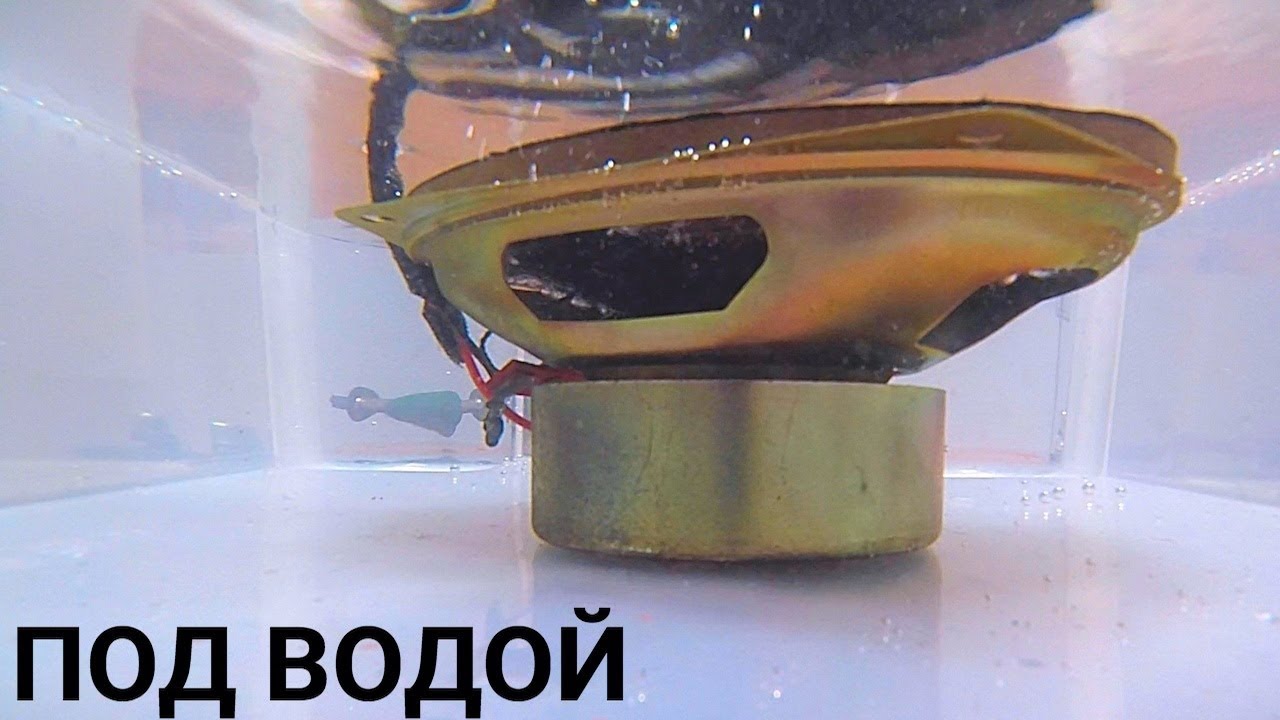 ПОД ВОДОЙ НАВАЛИЛ БАС - Я В ШОКЕ