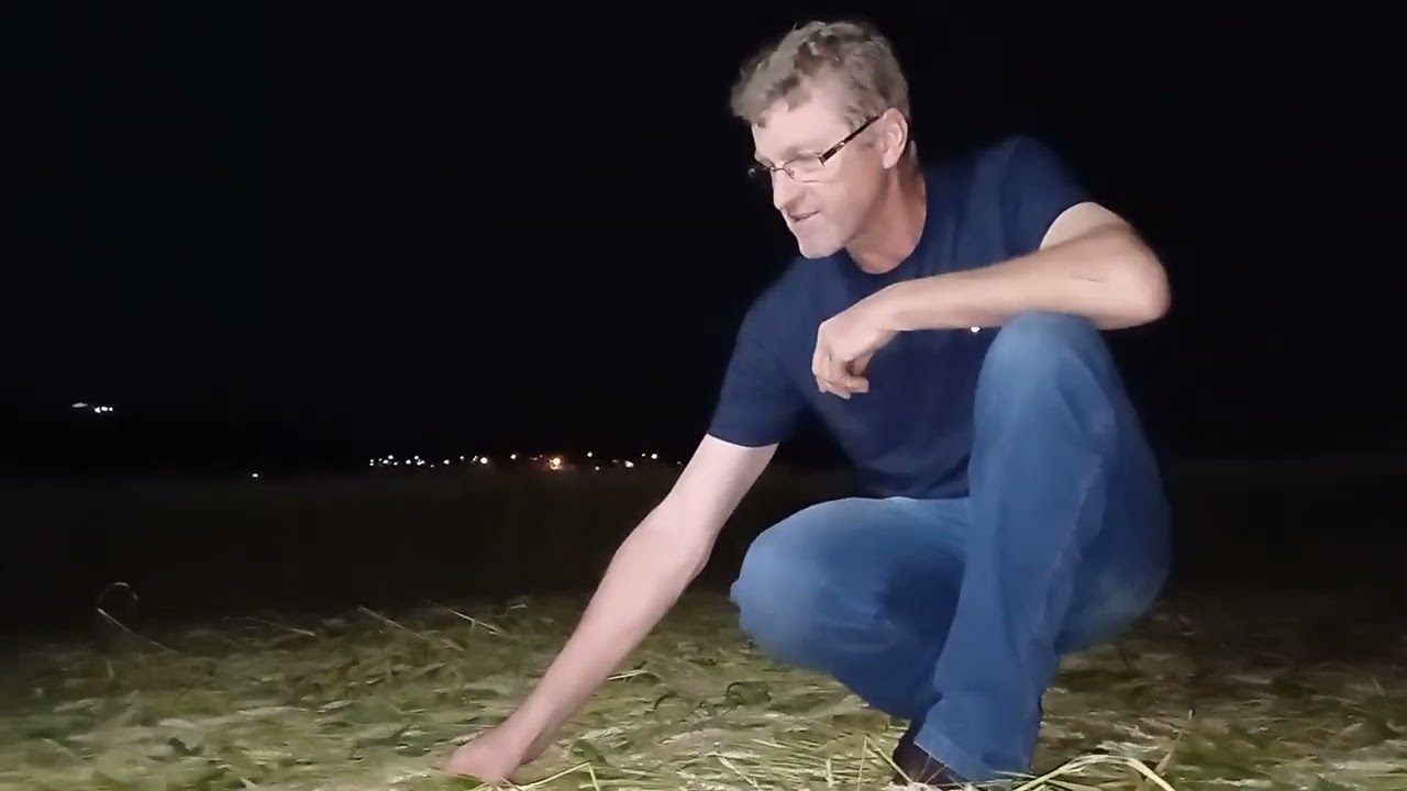 Uf&oacute;logo de Xanxer&ecirc; fala sobre agroglifo em Ipua&ccedil;u