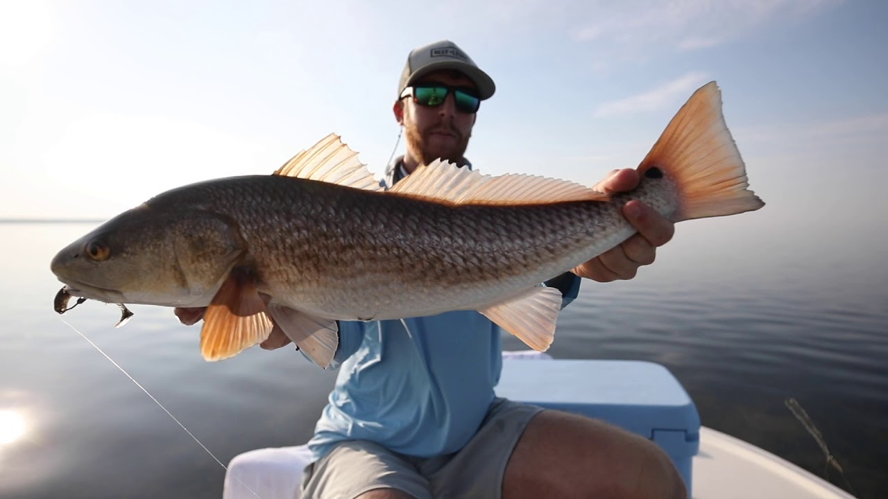Plug & Fly Charters promo video for 2020